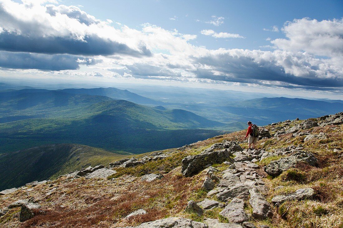 A hiker on the Appalachian Trail near Mount Clay during the summer months Located in the White Mountains, New Hampshire USA