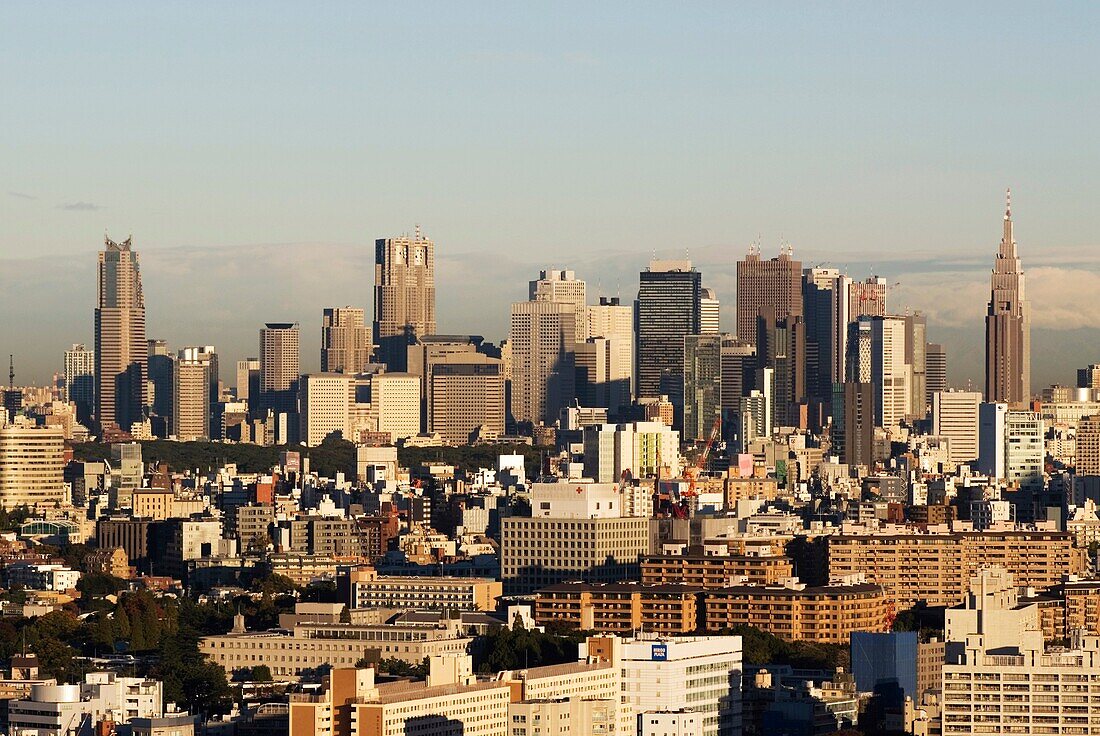 Shinjuku skyline Tokyo Japan