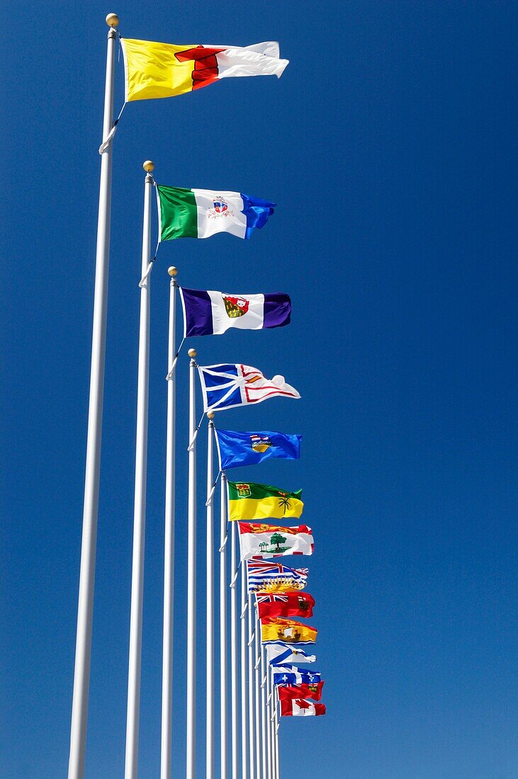 The flags of Canada its provinces and territory