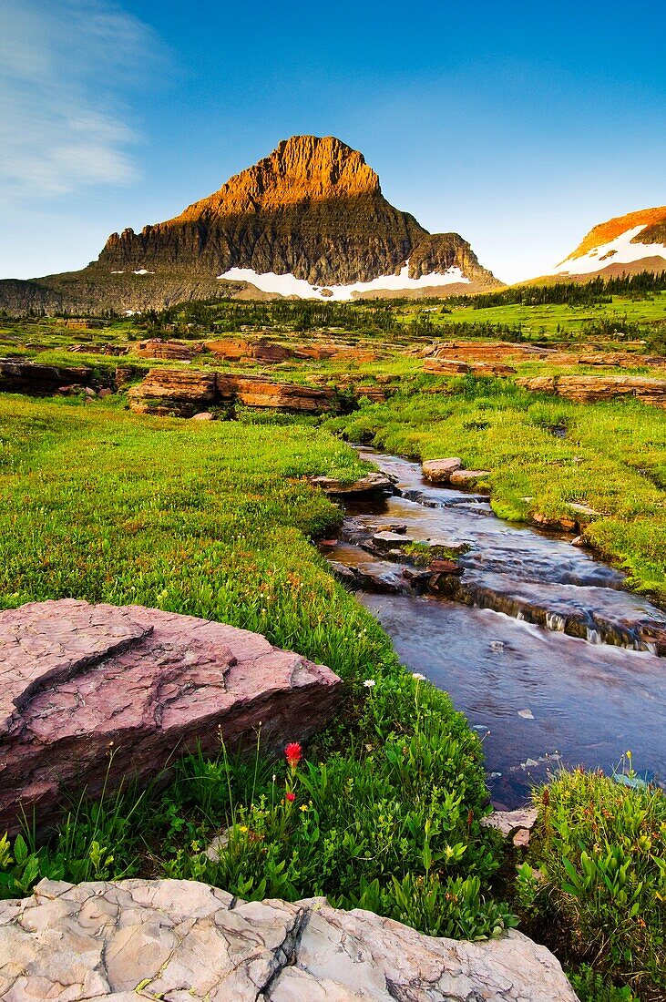 Waterfalls and wildflowers at Hanging Garden at Logan Pass, Glacier National Park, Montana