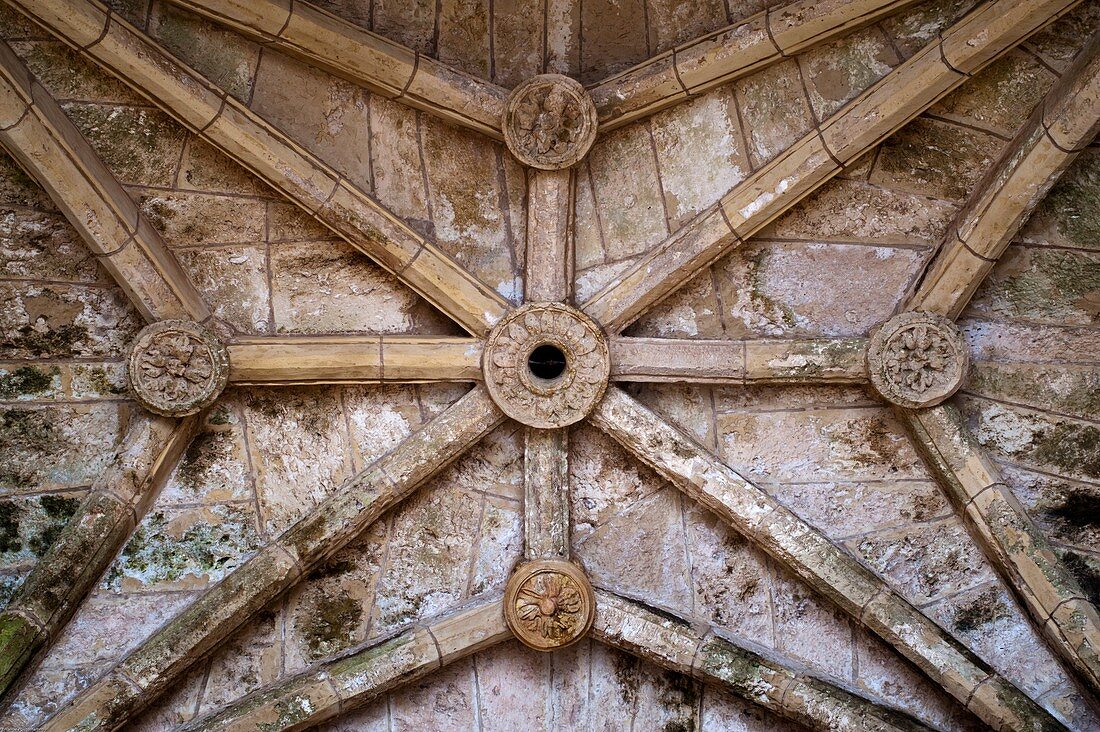 Vault, 'Capilla de Santiago,  Chapel of Santiago, Melilla la Vieja, Melilla, Spain, Europe