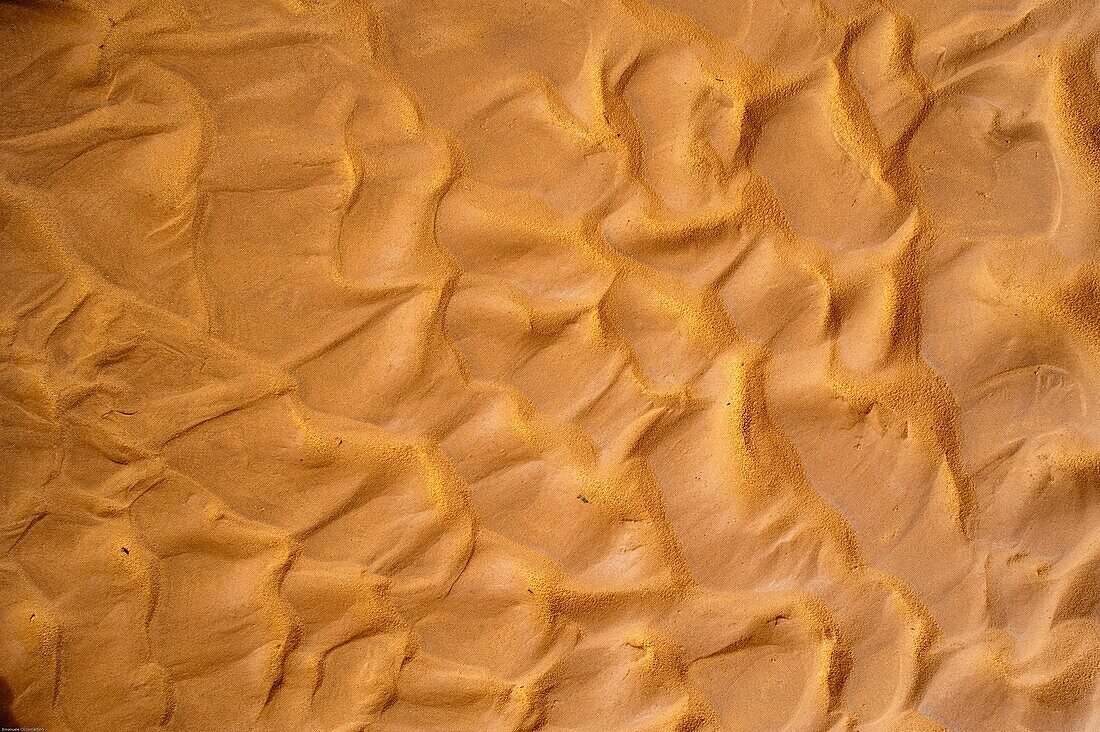 Sand, Saf Saf river, border with Algeria, oasis of Figuig, province of Figuig, Oriental Region, Morocco