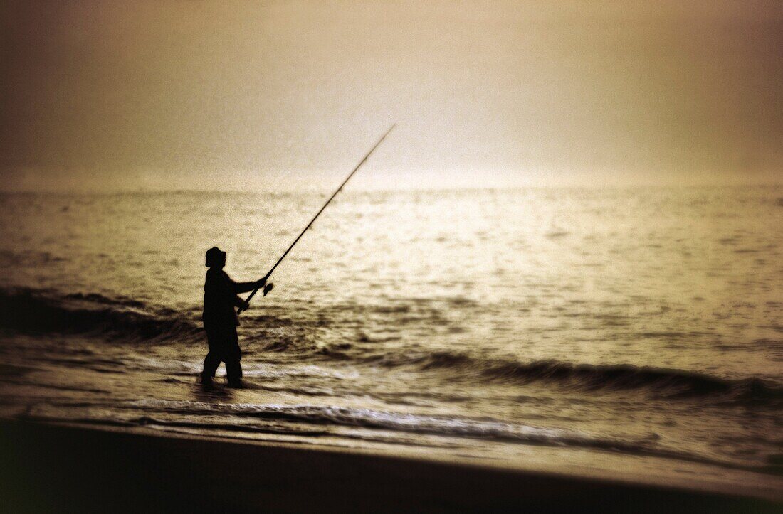 Man surf fishing, Cape Cod, MA