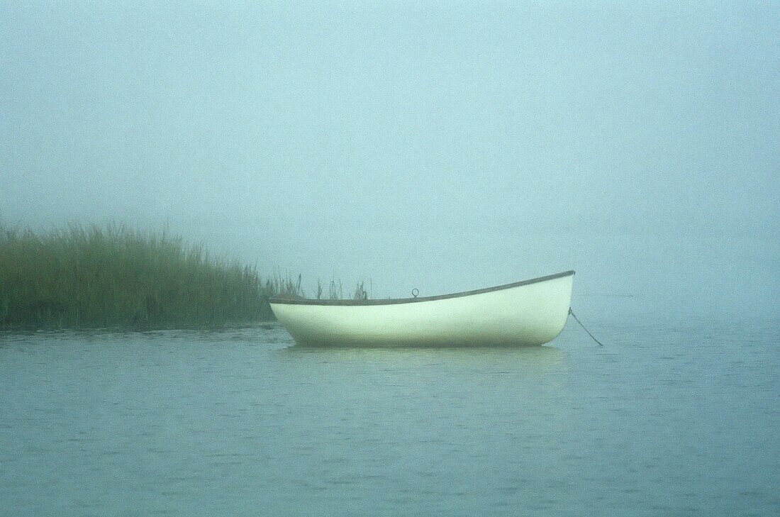 Rustic row boat and sea grass on misty morning Cape Cod