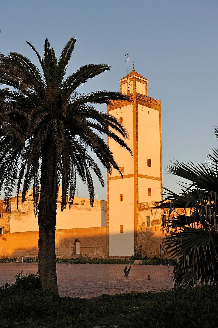 Ben-Youssef-Moschee in der Medina von Essaouira, Marokko, Nordafrika