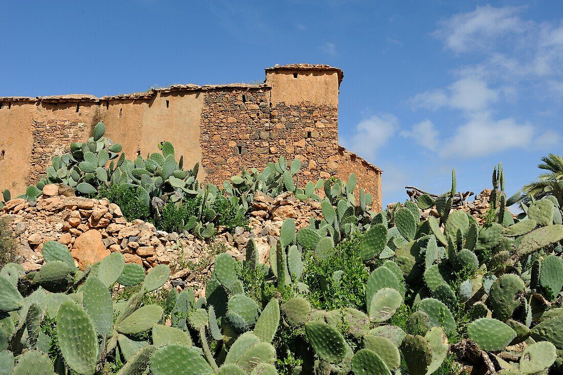 traditional barn-fortress for crop harvesting, Tallate, Anti-Atlas, Morocco, North Africa