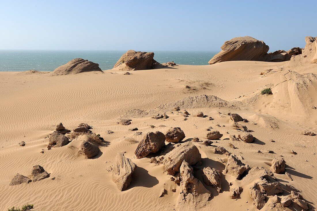 Dünen um Tamri an der Atlantikküste, zwischen Agadir und Essaouira, Marokko, Nordafrika