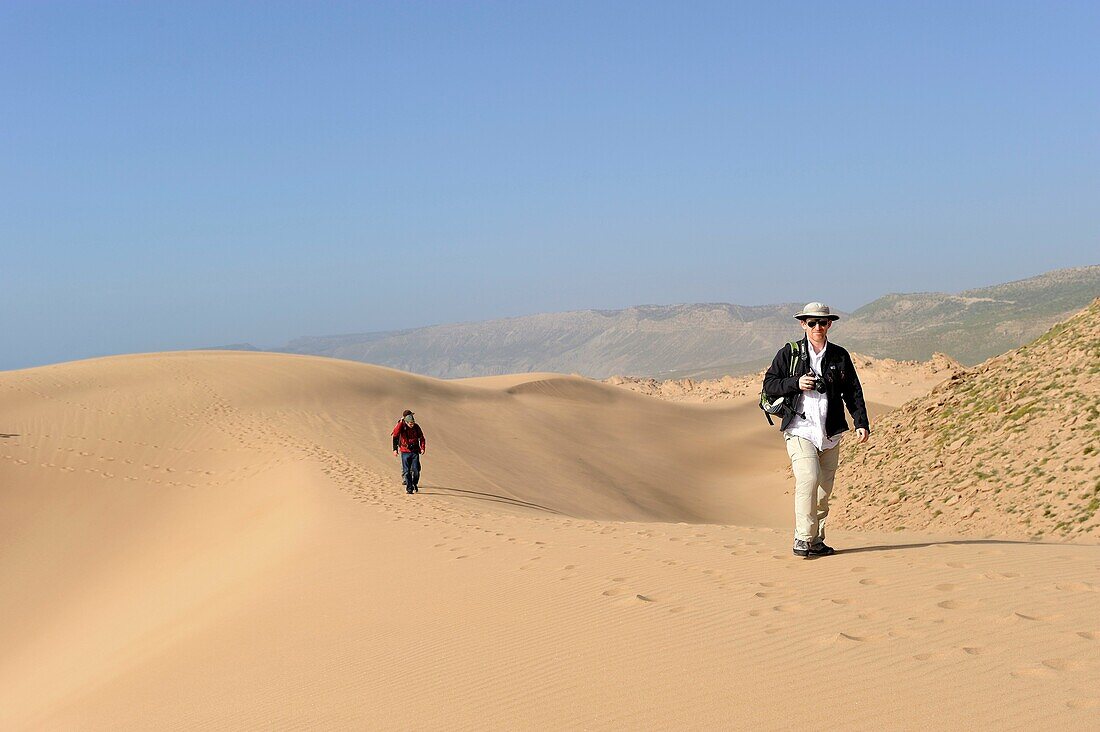 Dünen um Tamri an der Atlantikküste, zwischen Agadir und Essaouira, Marokko, Nordafrika