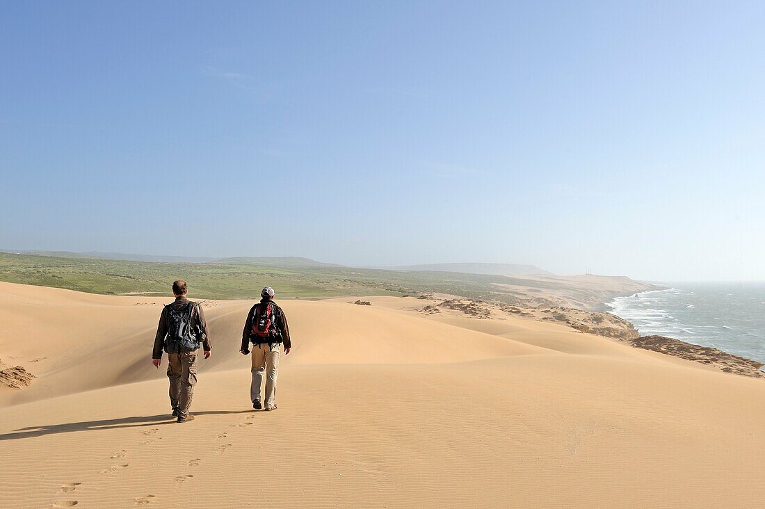 Dünen um Tamri an der Atlantikküste, zwischen Agadir und Essaouira, Marokko, Nordafrika