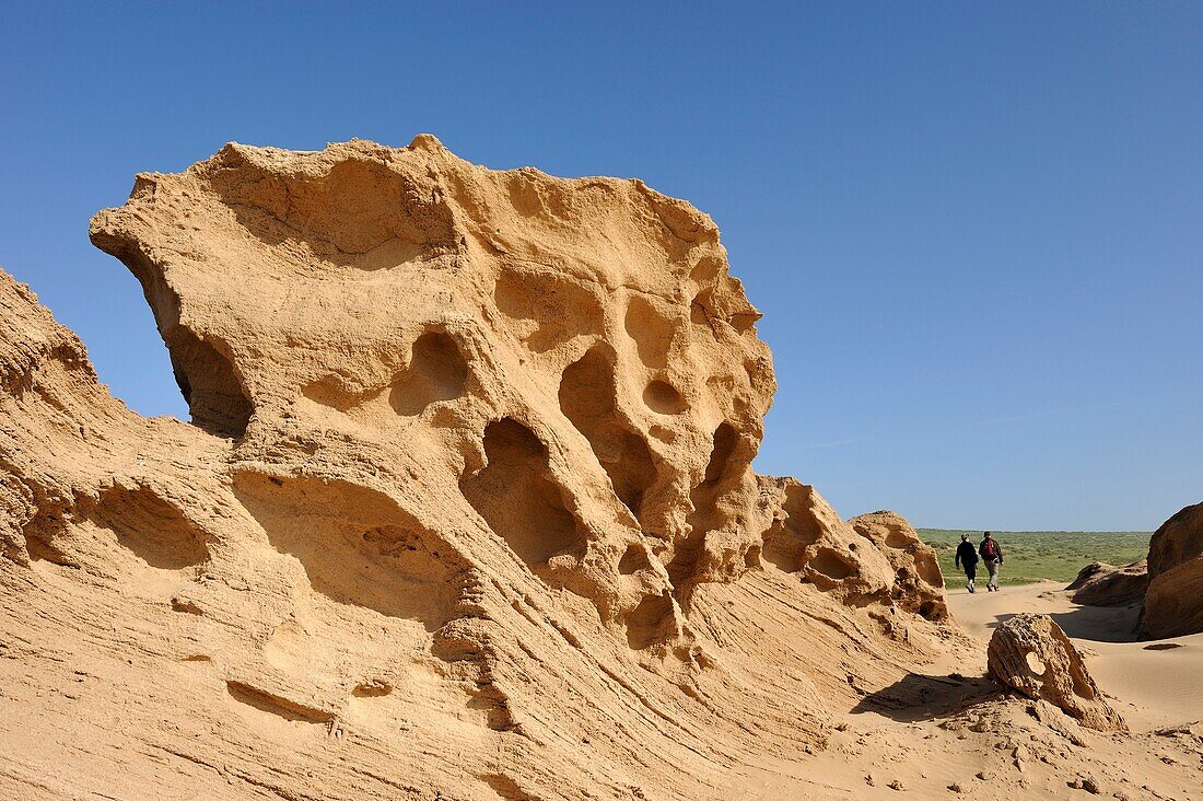 Dünen um Tamri an der Atlantikküste, zwischen Agadir und Essaouira, Marokko, Nordafrika