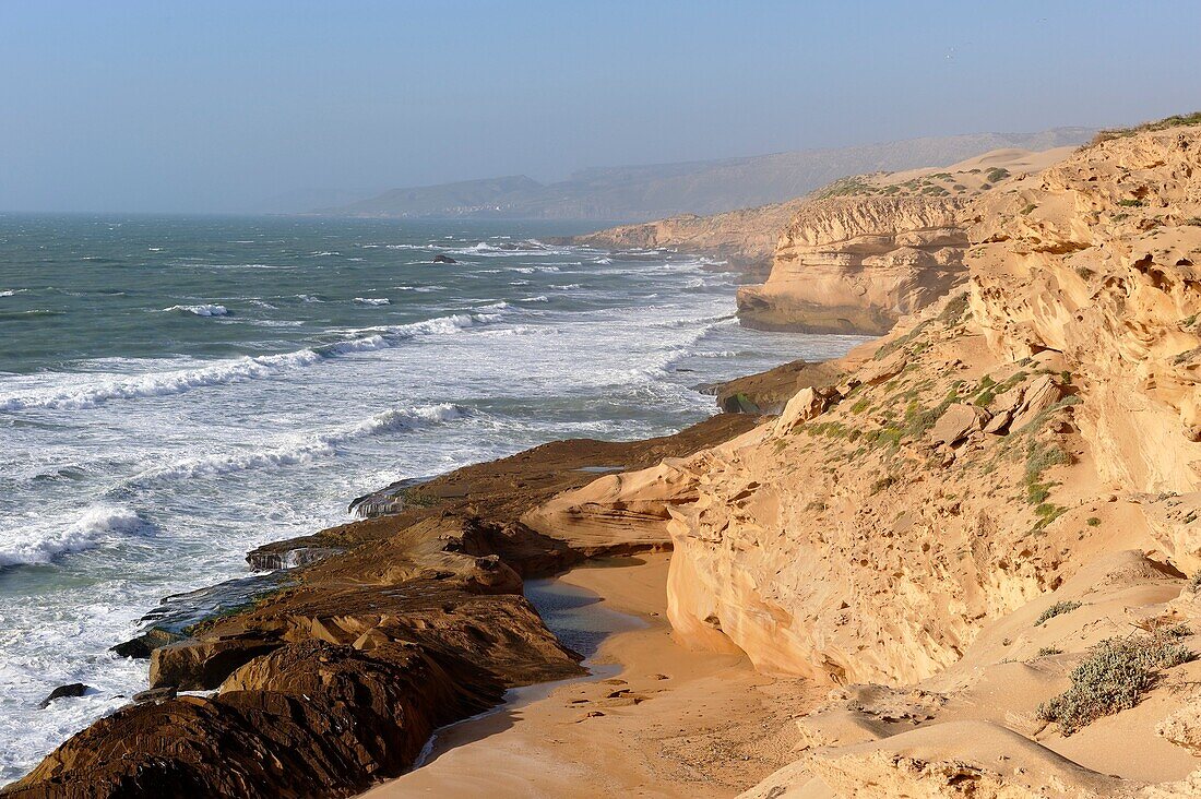 Klippen um Tamri an der Atlantikküste, zwischen Agadir und Essaouira, Marokko, Nordafrika