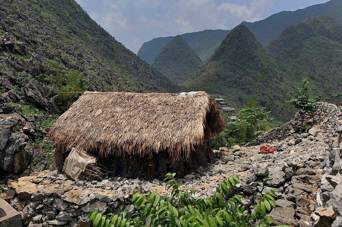 Sa Phin hamlet, Dong Van plateau, Ha Giang province, north Vietnam, south-east asia