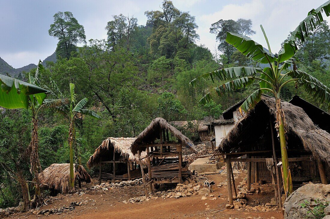 Weiler Sa Phin, Hochebene von Dong Van, Provinz Ha Giang, Nordvietnam, Südostasien