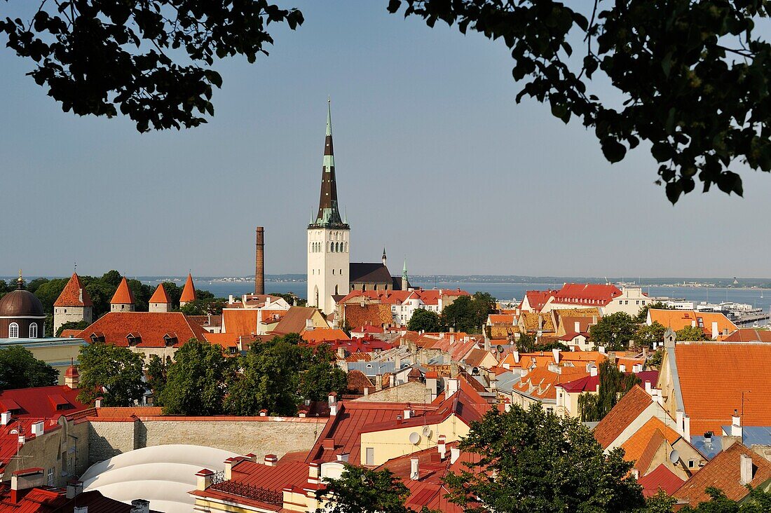 Türme und Festungsmauern der Altstadt von der Kohtu-Straßenplattform auf dem Toompea-Hügel aus gesehen, Tallinn, Estland, Nordeuropa