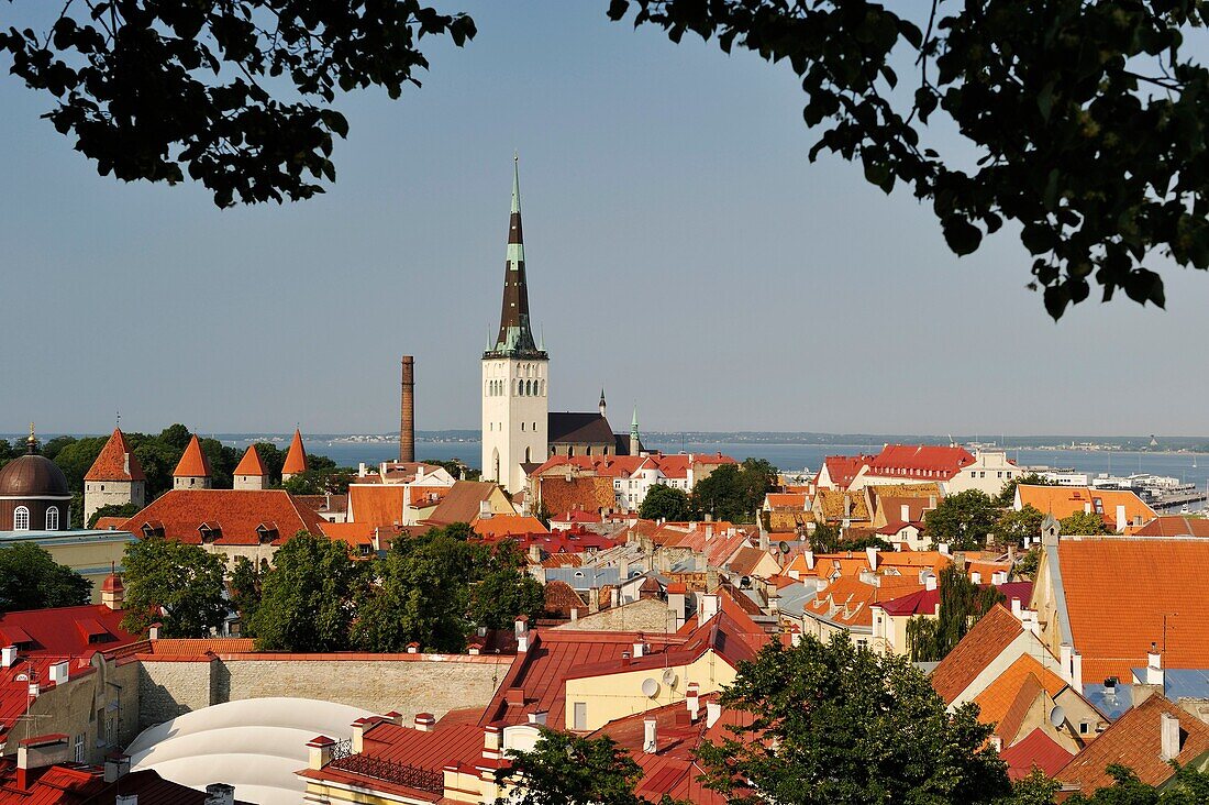 towers and ramparts of the Old Town seen from Kohtu street view platform on Toompea Hill, Tallinn, estonia, northern europe