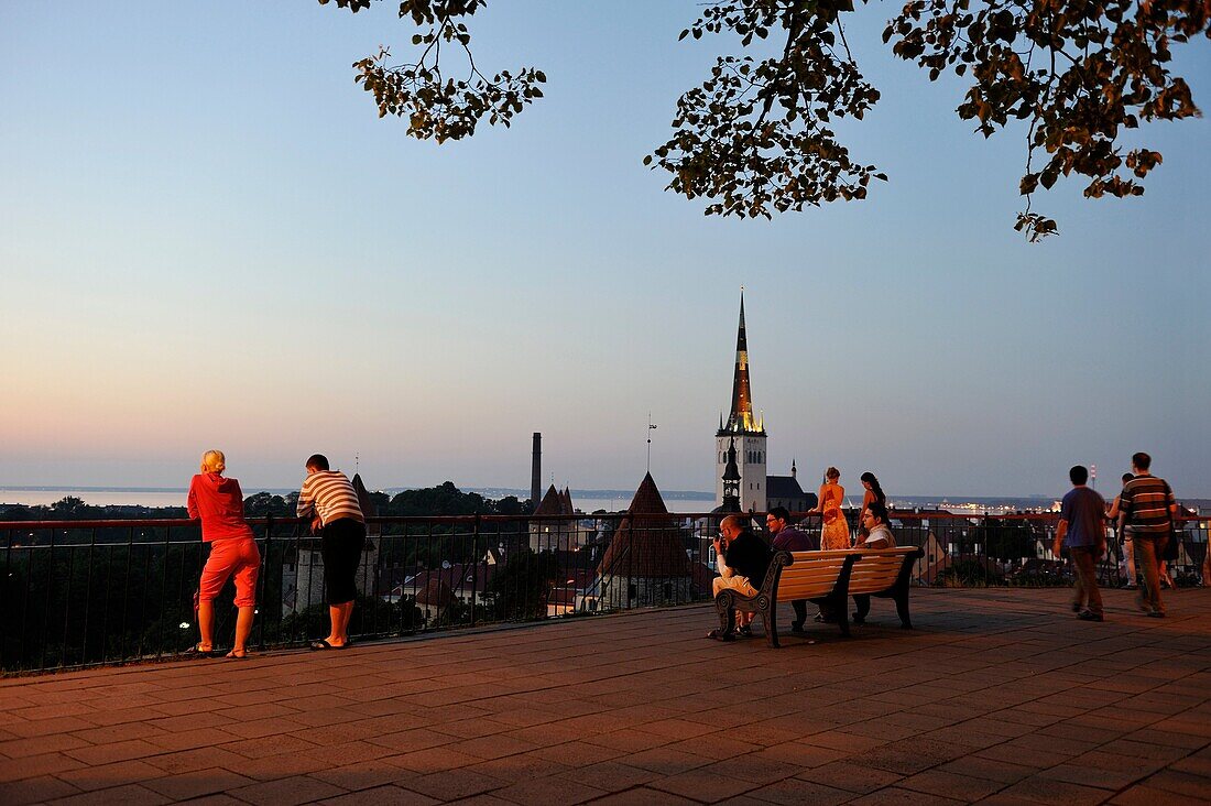 Menschen bewundern die Altstadt von der Patkuli-Aussichtsplattform auf dem Toompea-Hügel, Tallinn, Estland, Nordeuropa