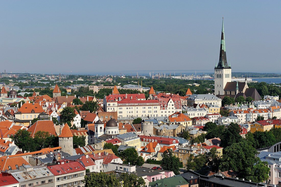 Überblick über die Altstadt von Tallinn aus der Vogelperspektive vom Sokos Viru Hotel, Estland, Nordeuropa