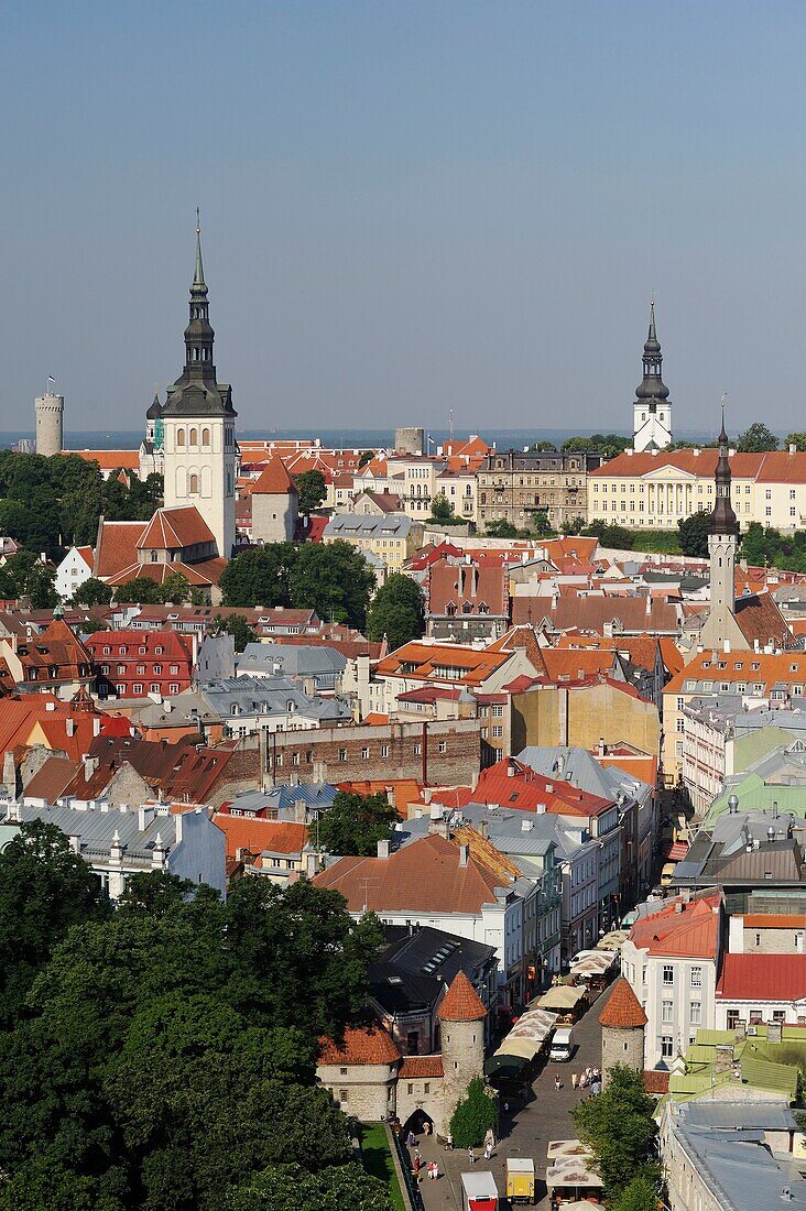 aerial overview of Old Town Tallinn from Sokos Viru hotel, estonia, northern europe