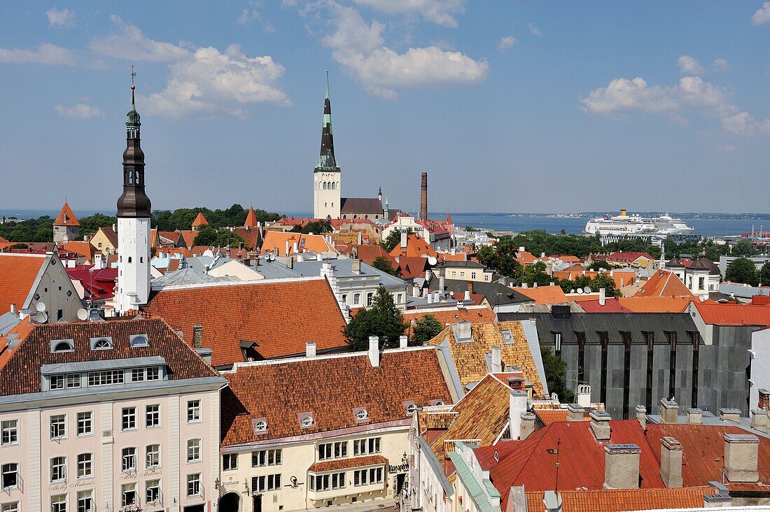 Town Hall Square seen from the belfry, Tallinn, estonia, northern europe