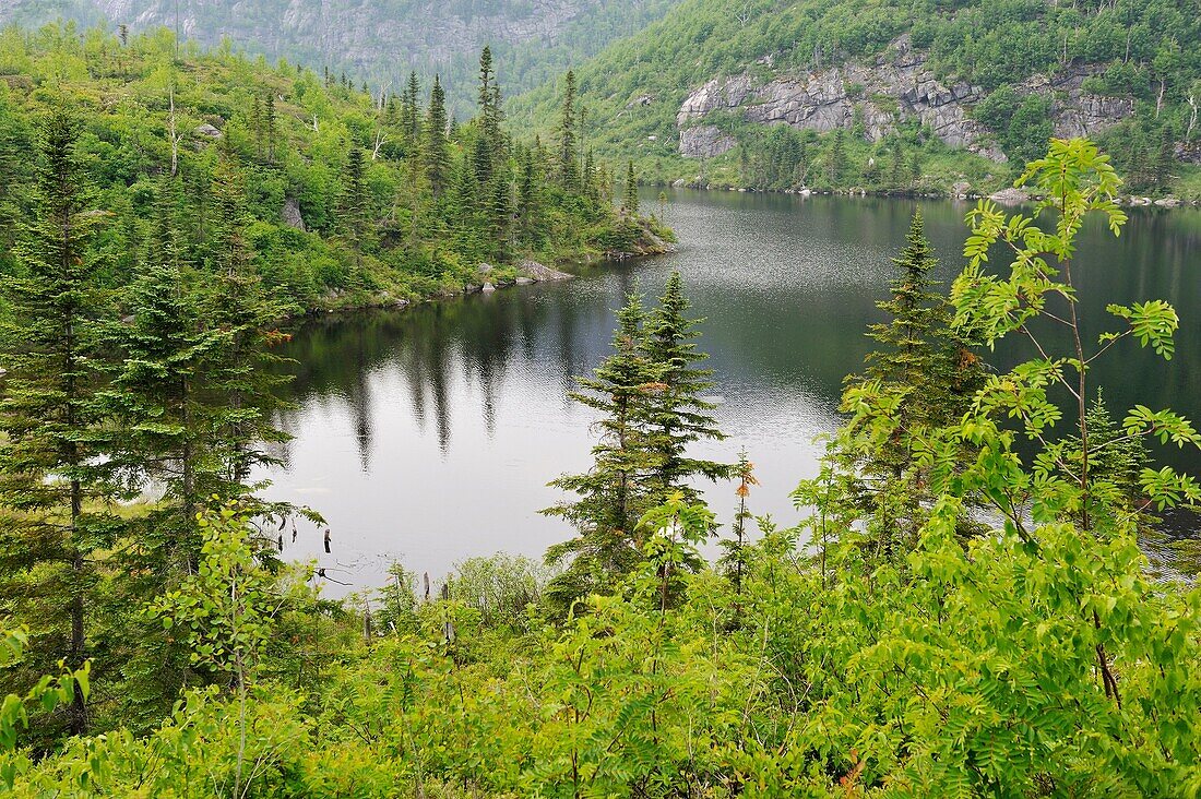 Georges lake on Pioui path, Grands-Jardins National Park, Province of Quebec, Canada, North America