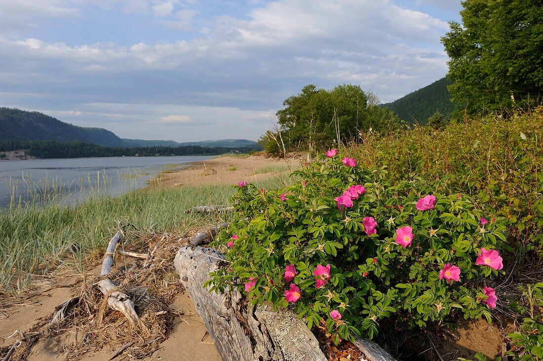 Saguenay-Nationalpark, Baie Sainte-Marguerite, Provinz Québec, Kanada, Nordamerika