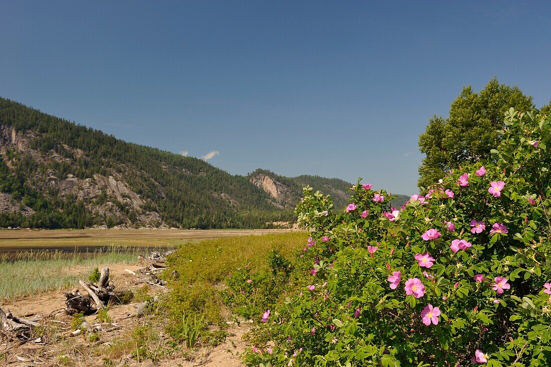 Saguenay National Park, Baie Sainte-Marguerite, Province of Quebec, Canada, North America