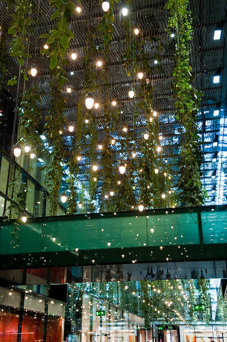 Climbing plants and lights on the ceiling, Fuenf Hoefe, Munich, Upper Bavaria, Bavaria, Germany