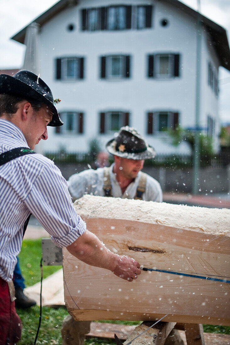 Two men sawing a tree, Erection of Maypole, Sindelsdorf, Weilheim-Schongau, Bavarian Oberland, Upper Bavaria, Bavaria, Germany