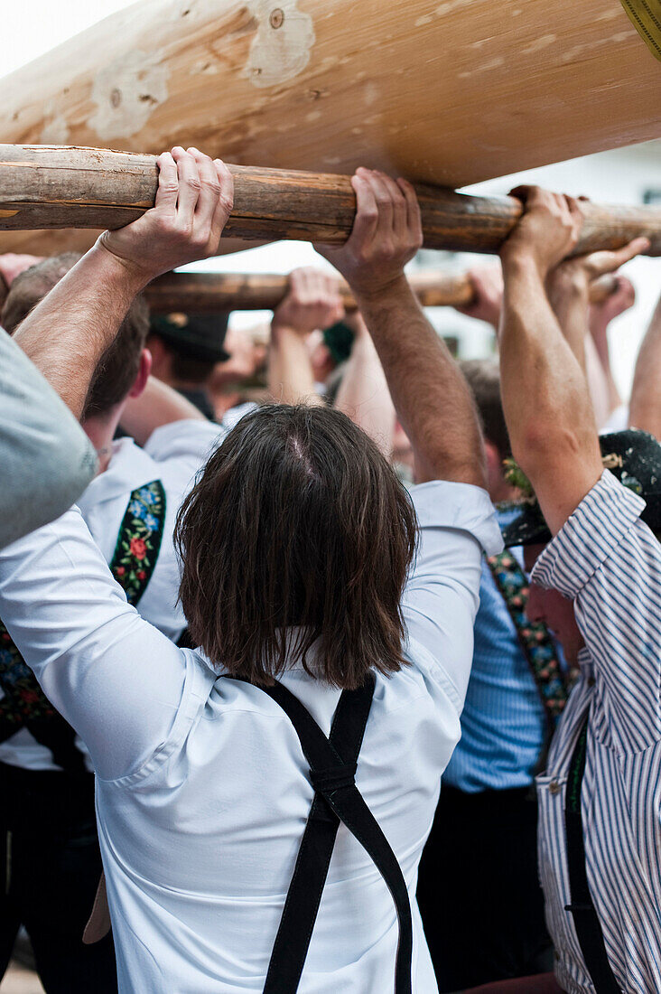 Erection of Maypole, Sindelsdorf, Weilheim-Schongau, Bavarian Oberland, Upper Bavaria, Bavaria, Germany