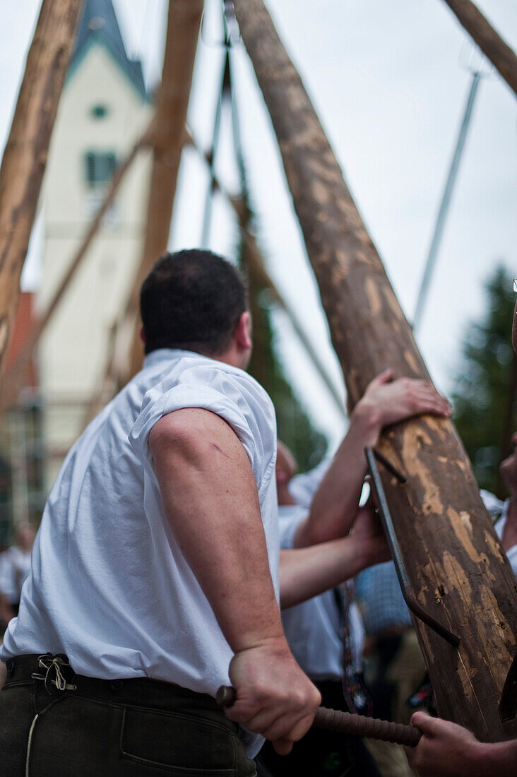 Maibaumfest, Maibaum aufstellen, Maibaum, Sindelsdorf, Weilheim-Schongau, Bayerisches Oberland, Oberbayern, Bayern, Deutschland