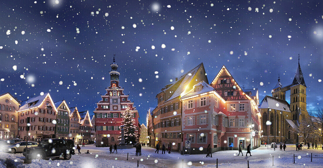 Panorama, snowfall at night, Esslingen am Neckar, Baden Wuerttemberg, Germany