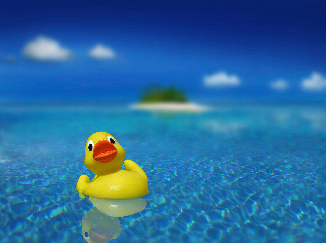 Rubber duck in the water, Palawan Islands, Philippines, Asia