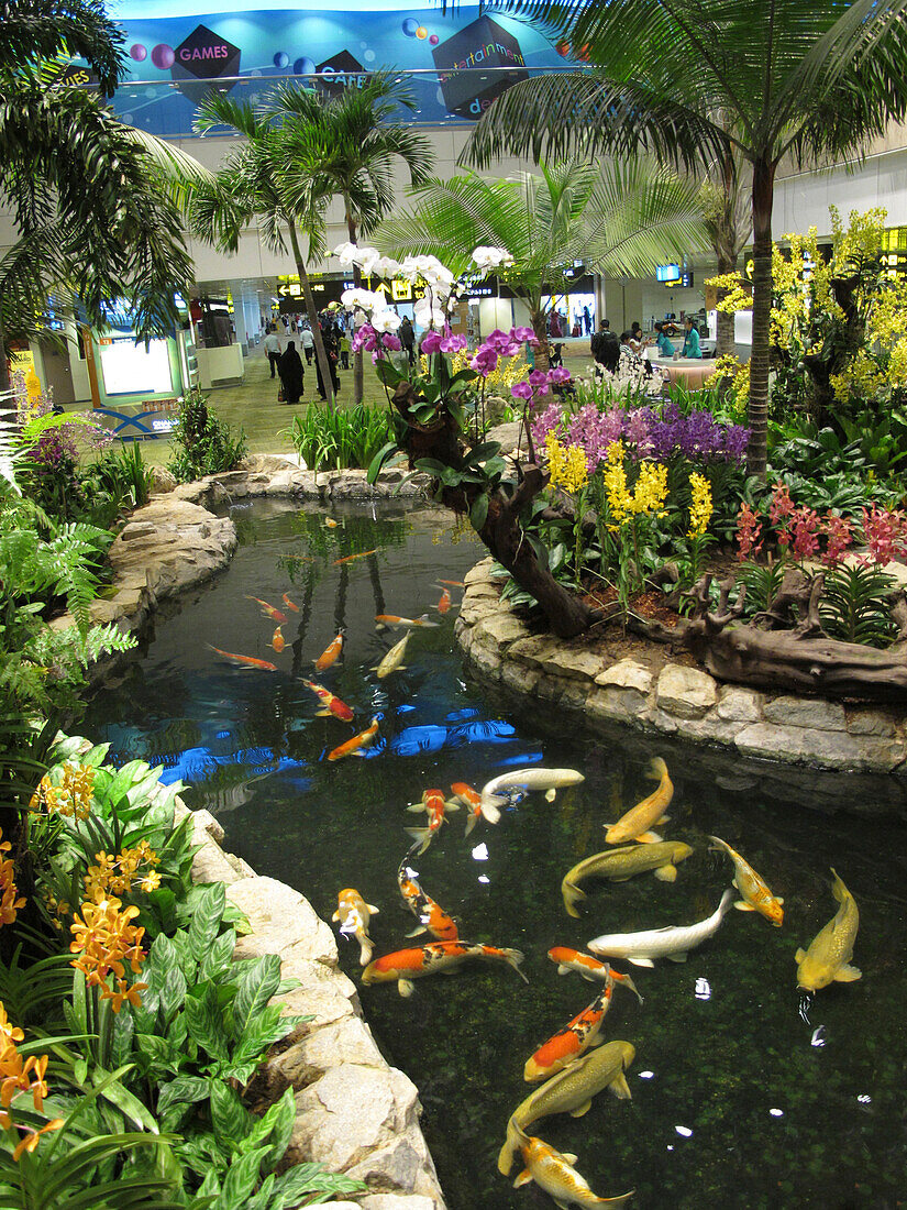 Pavillon mit Teich und Koi Karpfen, Bangkok, Thailand, Asien