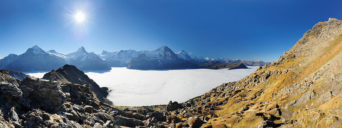 Panorama mit Wetterhorn, Lauteraarhorn, Schreckhorn, Finsteraarhorn, Eiger, Jungfrau und Nebelmeer über Grindelwald, Bussalp, Grindelwald, UNESCO Welterbe Schweizer Alpen Jungfrau - Aletsch, Berner Oberland, Bern, Schweiz, Europa