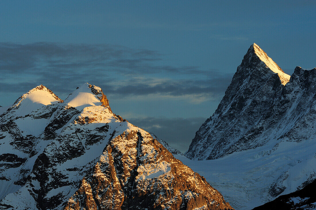 Verschneite Berge Mättenberg und Finsteraarhorn, Bussalp, Grindelwald, UNESCO Welterbe Schweizer Alpen Jungfrau - Aletsch, Berner Oberland, Bern, Schweiz, Europa