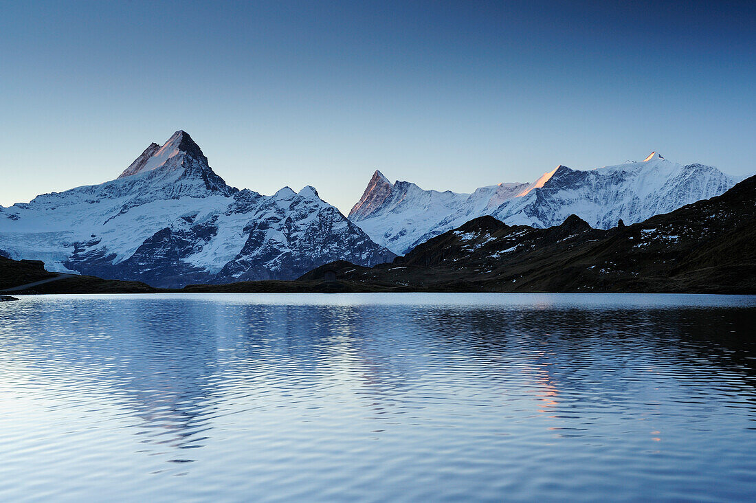 Lauteraarhorn, Schreckhorn, Finsteraarhorn und Fiescherhorn über Bachsee am Morgen, Bachsee, Grindelwald, UNESCO Welterbe Schweizer Alpen Jungfrau - Aletsch, Berner Oberland, Bern, Schweiz, Europa