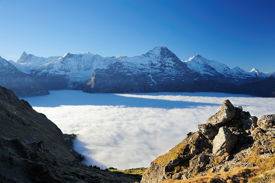 Finsteraarhorn, Fiescherhorn, Eiger and Jungfrau above sea of fog above Grindelwald, Bussalp, Grindelwald, UNESCO World Heritage Site Swiss Alps Jungfrau - Aletsch, Bernese Oberland, Bern, Switzerland, Europe