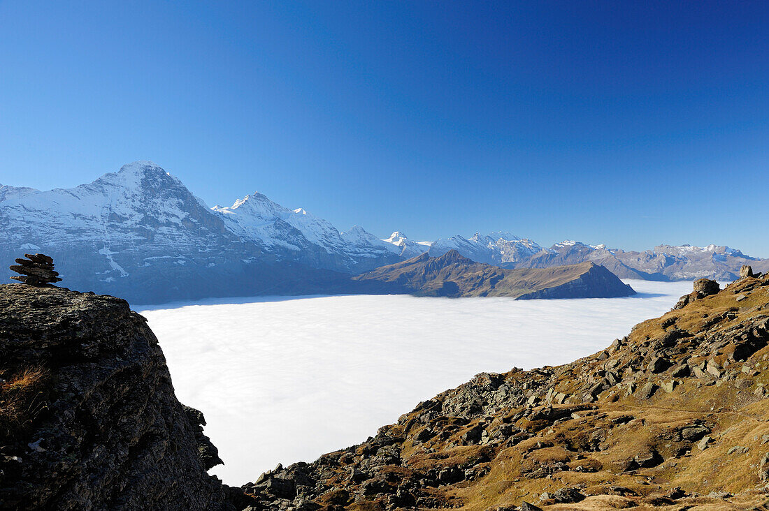 Eiger und Jungfrau über Nebelmeer, Bussalp, Grindelwald, UNESCO Welterbe Schweizer Alpen Jungfrau - Aletsch, Berner Oberland, Bern, Schweiz, Europa