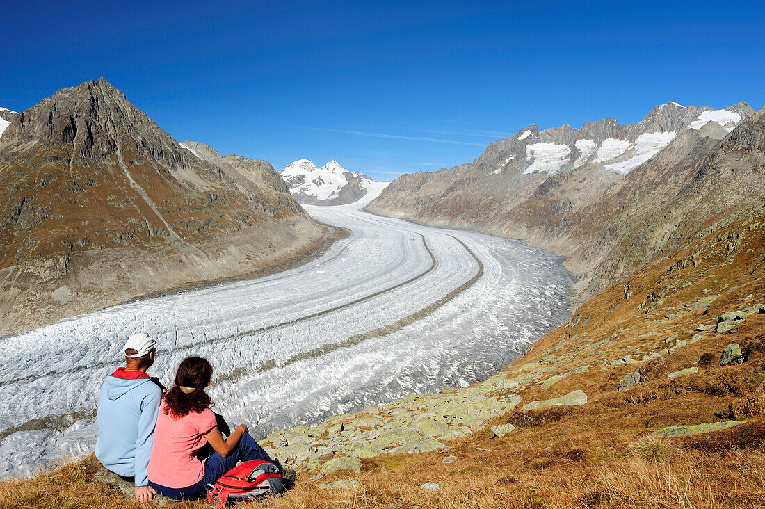 Paar blickt auf Grosser Aletschgletscher mit Mönch, Eiger und Wannenhorn, Grosser Aletschgletscher, UNESCO Welterbe Schweizer Alpen Jungfrau - Aletsch, Berner Alpen, Wallis, Schweiz, Europa