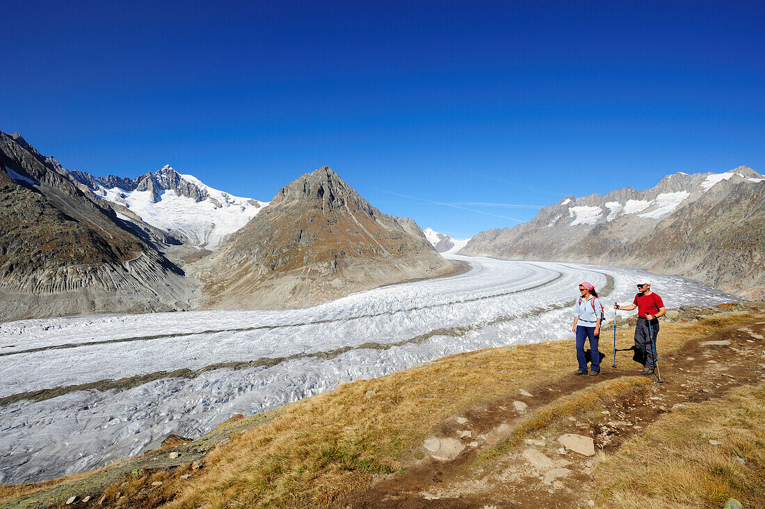 Paar wandert auf Weg über Grosser Aletschgletscher mit Aletschhorn, Grosser Aletschgletscher, UNESCO Welterbe Schweizer Alpen Jungfrau - Aletsch, Berner Alpen, Wallis, Schweiz, Europa