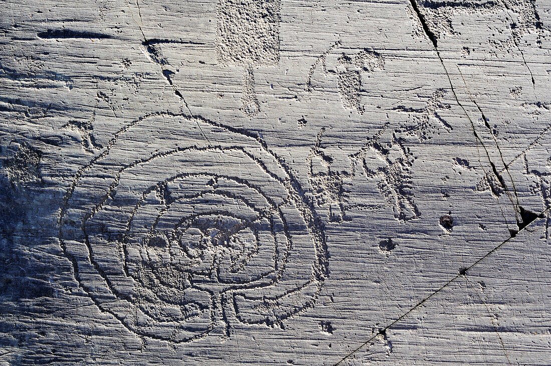 Etruscan rock drawing with labyrinth, warrior and scoop, iron age, Naquane, Val Camonica, UNESCO World Heritage Site Val Camonica, Lombardy, Italy, Europe