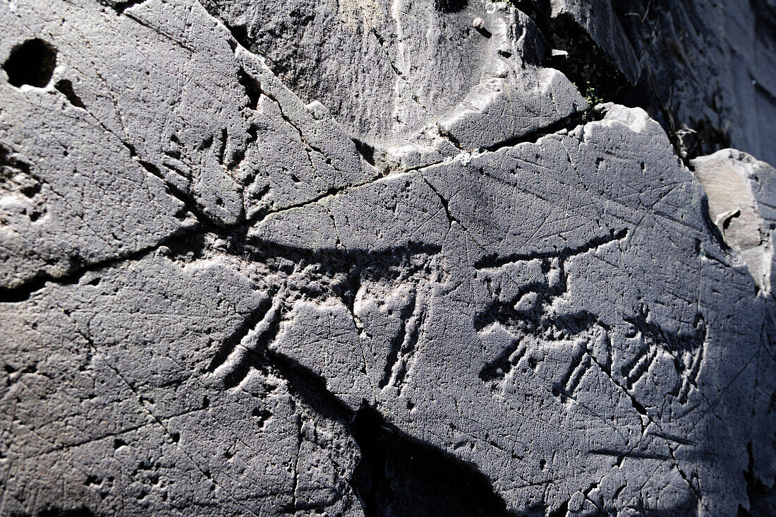 Jagdszenen mit Hirsch, Hund und Jäger, Etruskische Felsritzzeichnung, Eisenzeit, Naquane, Val Camonica, UNESCO Weltkulturerbe Val Camonica, Lombardei, Italien, Europa