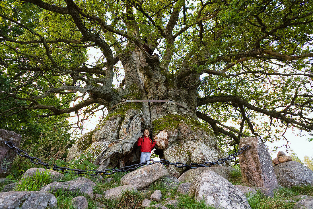 Mädchen vor 1000 jähriger Eiche Kvilleken, Nationalpark Norra Kvill, Kalmar, Smaland, Schweden