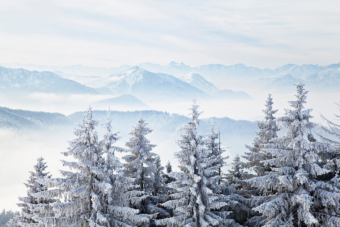 View at the Kochel mountains in winter, Bavarian Alps, Upper Bavaria, Germany, Europe, Europe