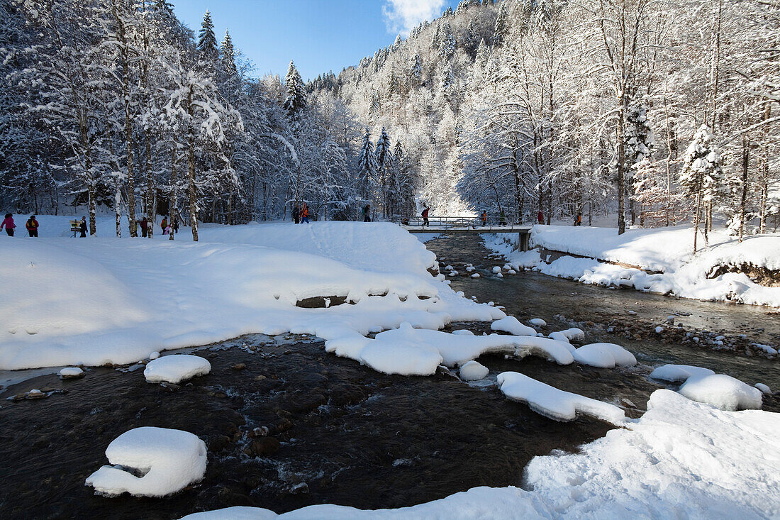 Bergbach Partnach bei Garmisch-Partenkirchen, Werdenfelser Land, Oberbayern, Deutschland, Europa