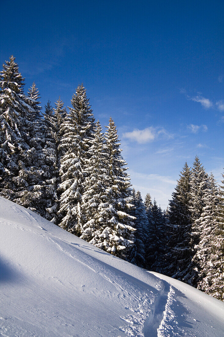 Winter scenery with snoeshoe track on Zwiesel Mountain, Alps near Bad Tölz, Upper Bavaria, Germany, Europe