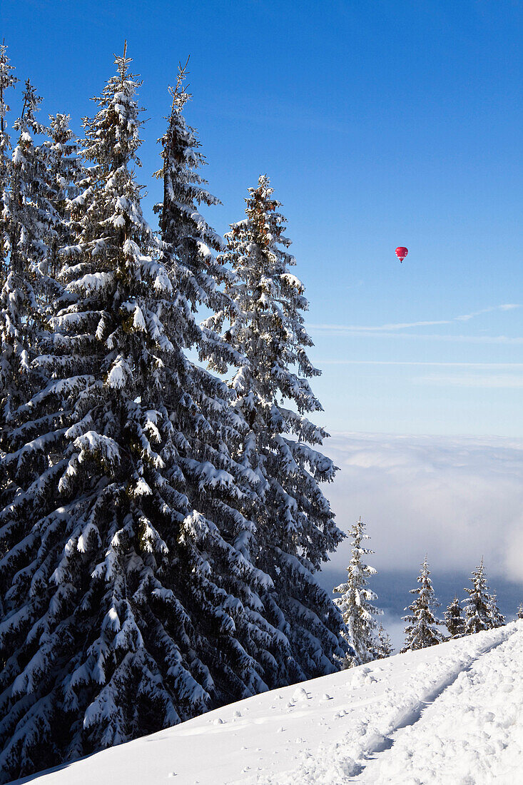 Verschneite Fichten, Winterlandschaft mit Heissluftballon in den Bayerischen Alpen, Oberbayern, Deutschland, Europa
