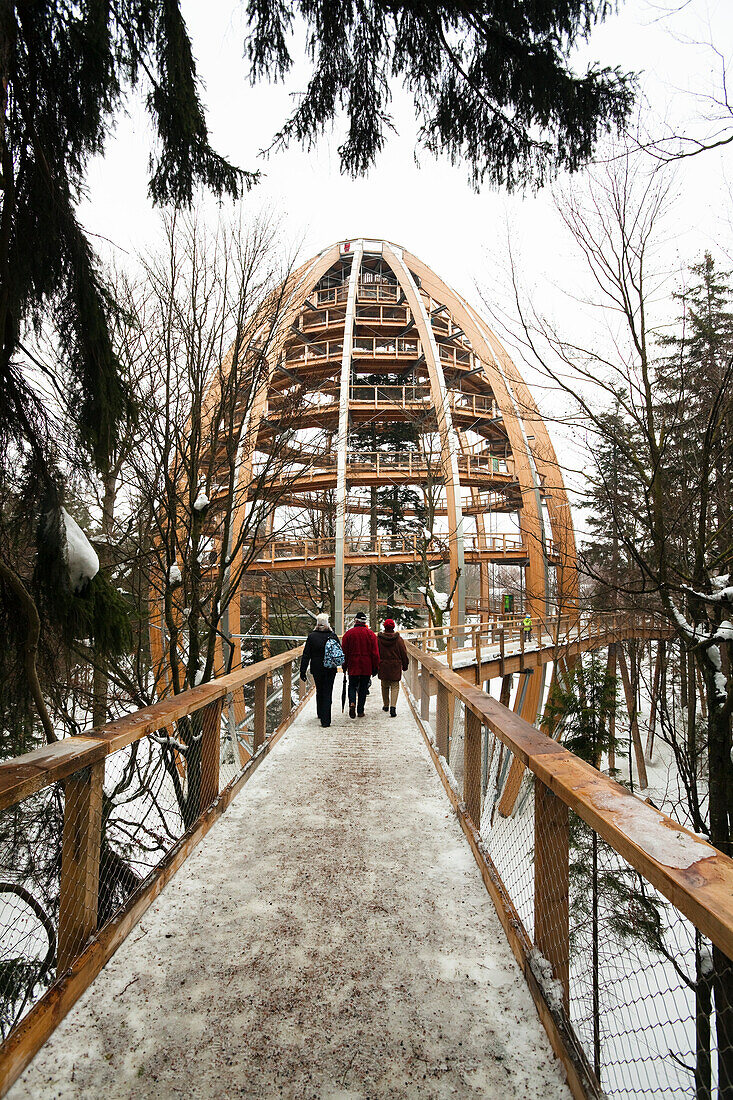 People on tree top walk in National Park Bavarian Forest in winter, Neuschönau, Bavaria, Germany, Europe