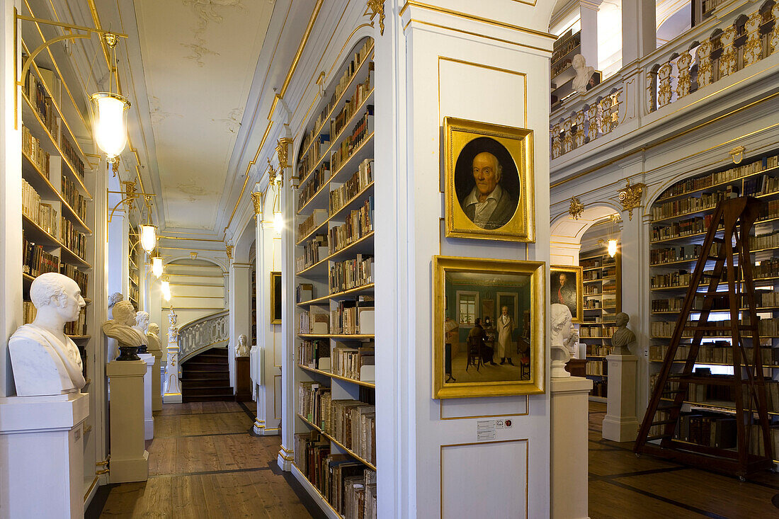 The historic Rococo room of the Duchess Anna Amalia Library, Weimar, Thuringia, Germany, Europe