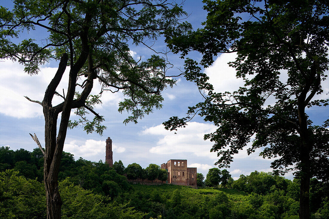 Klosterruine Limburg unter Wolkenhimmel, Kloster Limburg an der Haardt, bei Bad Dürkheim, Rheinland-Pfalz, Deutschland, Europa